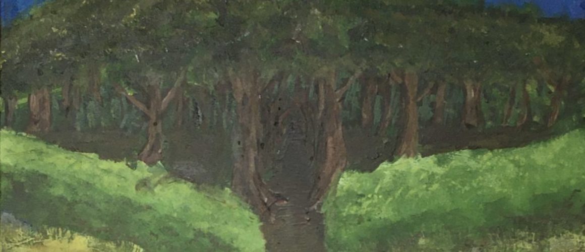 Into the Dark Woods