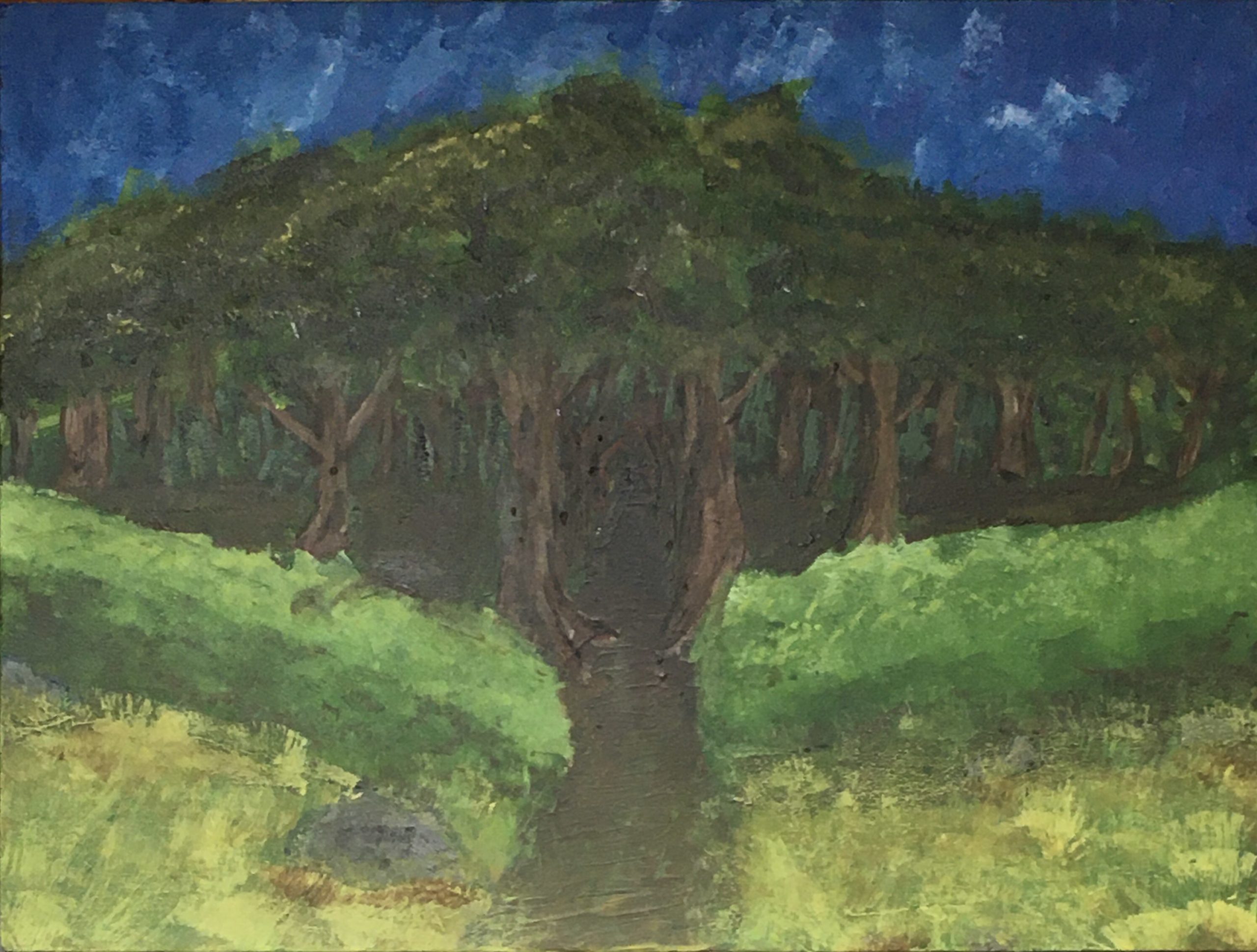Into the Dark Woods